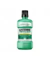 Listerine Teeth&Gum Defence Ağız Gargarası 500 ml - Ferah Nane