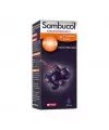 Sambucol Plus Likit Şurup 120ml