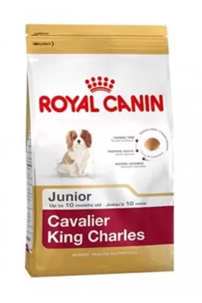 Royal Canin Bhn Cavalier Jun 1,5K