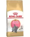 Royal Canin Fbn Brit Short Kit 2K