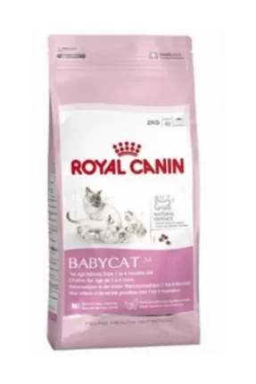 Royal Canin Fhn Babycat 2K