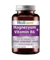 Wellcare Magnezyum B6 Vitamini 30 Tablet