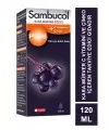 Sambucol Plus Likit Şurup 120ml