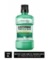 Listerine Teeth & Gum Defence Ağız Gargarası 500 ml - Ferah Nane