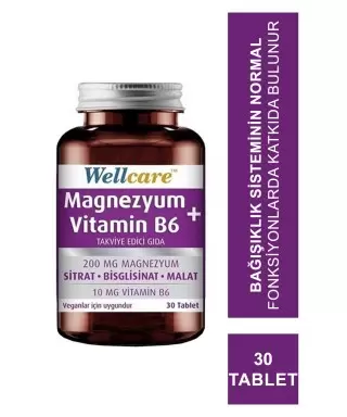 Wellcare Magnezyum B6 Vitamini 30 Tablet