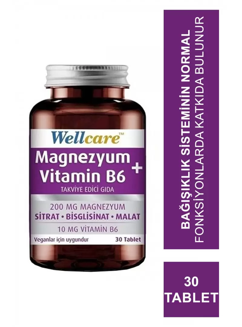 Wellcare Magnezyum B6 Vitamini 30 Tablet