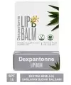 Dexpantonne Lip Balm ( Dudak Balsamı ) Spf15