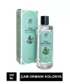 Rebul Pine Forest ( Çam Ormanı ) Kolonya 250 ml