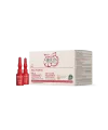 Bioclin Bio Force Anti Loss Ampul 15x5ml