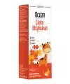 Ocean Çinko Bisglisinat 150 ml