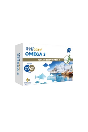 Wellcare Omega 3 1200mg Balık Yağı 30 Kapsül