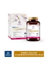 Wellcare Collagen Beauty Boost 60 Tablet