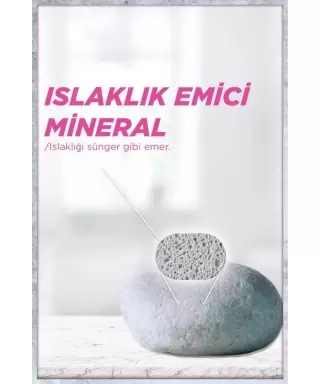 Garnier Mineral Lekesiz Koruma Çiçeksi Koku 150 ml