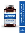 Wellcare Quercetin 60 Kapsül