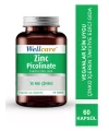 Wellcare Zinc Picolinate 15mg 60 Tablet