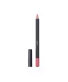 Aden Lipliner Pencil ( 41 Rosie Brown )