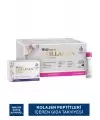 Wellcare Collagen Beauty Boost Plus ( Karpuz & Nane Aromalı ) 5500 mg Likit Form 40mlx30Shot & 30 Kapsül