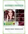 Garnier Nutrisse Yoğun Besleyici Kalıcı Krem Saç Boyası 4.6 Şarap Kızılı