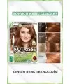 Garnier Nutrisse Ultra Creme Yoğun Besleyici Saç Boyası 6,41 Bakır Kumral