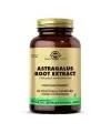 Solgar Astragalus Root Extract 60 Kapsül