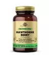 Solgar Hawthorne Berry 100 Kapsül