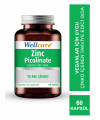 Outlet - Wellcare Zinc Picolinate 15mg 60 Tablet