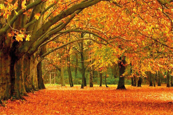 SONBAHAR' DA RUH HALİ