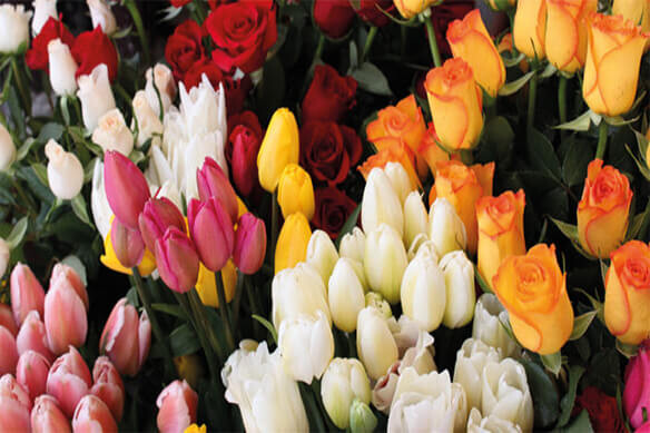 ANNELER GÜNÜNE ÖZEL VICHY ÜRÜNLERİNDE %50'YE VARAN İNDİRİM !