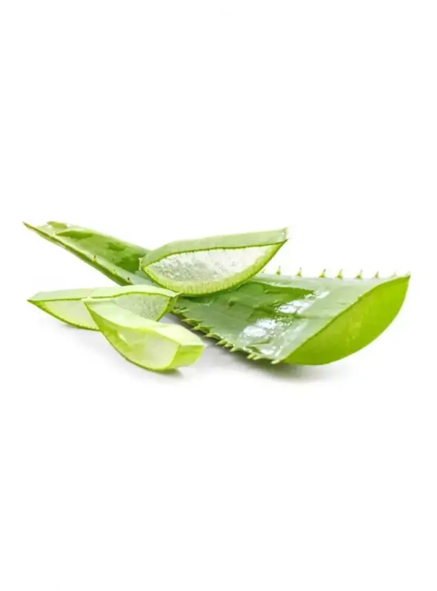 Aloe Vera Jel Aloe Vera Yaprağı Hammadde 1.000 gr - 1