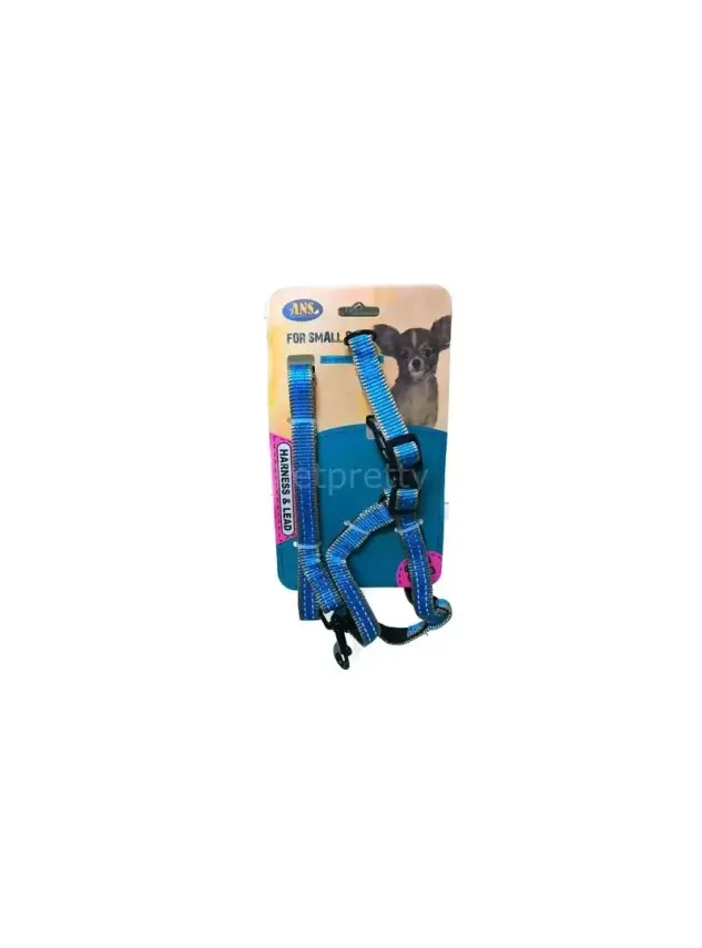 Ans Köpek Göğüs Tasma Ve Gezdirme 25-35Cm 3,5 Kg - 1