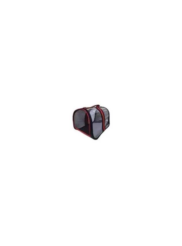 Bacco Milano Şeffaf Çanta Kırmızı 44*28*28 cm - 1