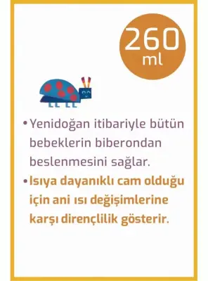Bebedor Isıya Dayanıklı Cam Biberon 3+Ay 260ml -51301- - 4