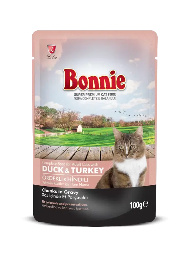 Bonnie Kedi Pouch Hindi 85 gr - 1