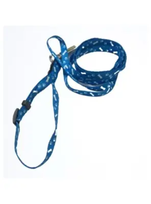 Boyun Ve Uzatma Takım Gezdirme - Tasma