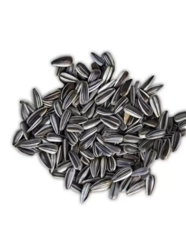 Çekirdek Çizgili 1 kg - 1