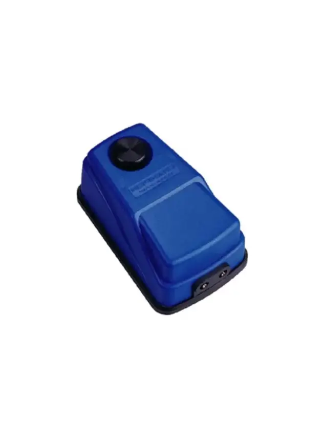 Champıon Cx-0098 Hava Motoru Çift Çıkış - 1