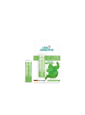 Cire Aseptine Nane Aromalı Dudak Bakım Kremi 4,5 gr - 1