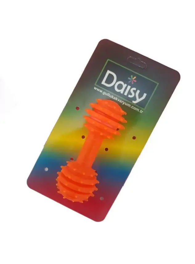 Daisy Dumbell Kemik Köpek Oyuncağı - 1