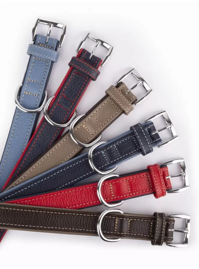 Daisy Flotter Deri Köpek Tasması L-3cm Turkuaz-Laci - Daisy