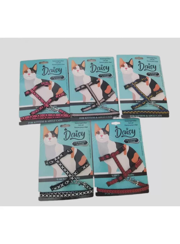 Daisy Kedi Takım Bel Tasması - Daisy