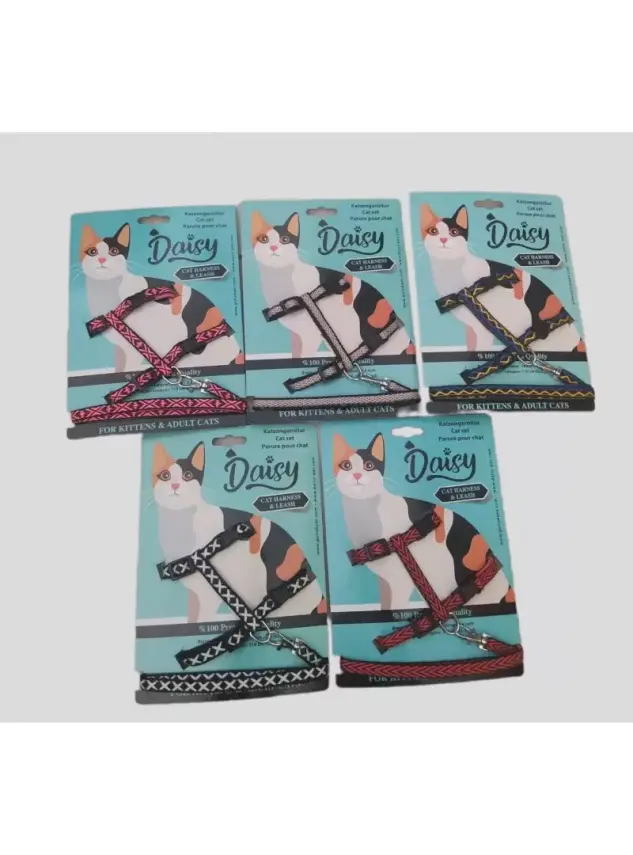 Daisy Kedi Takım Bel Tasması - 1