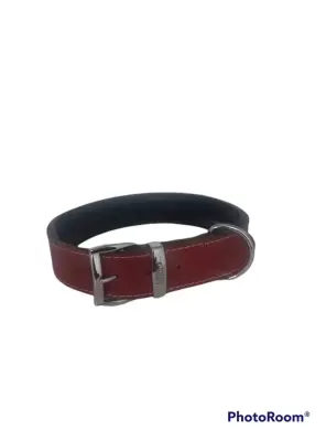 Daisy Klasik Deri Köpek Tasması XL-4cm Kırmızı - Daisy