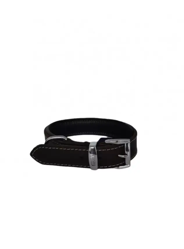 Daisy Klasik Deri Köpek Tasması XS-2cm Kahve - 1