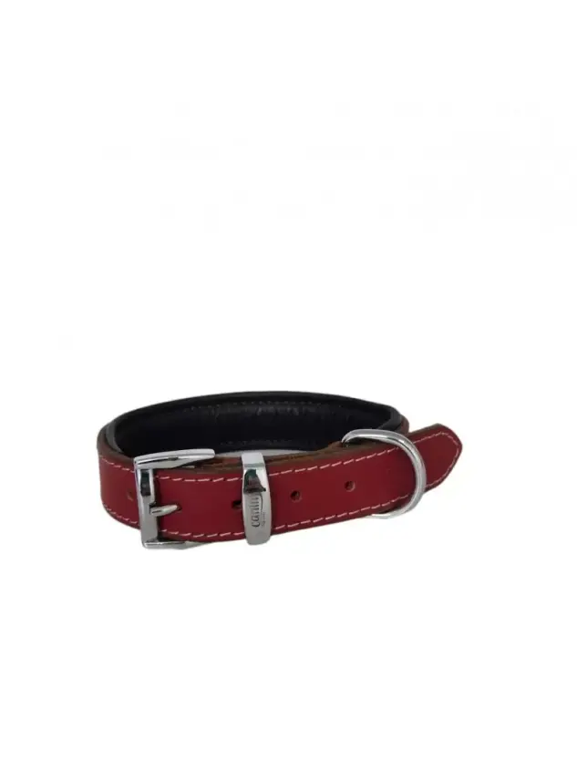 Daisy Klasik Deri Köpek Tasması XS-2cm Kırmızı - 1