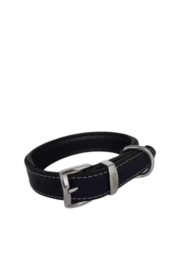Daisy Klasik Deri Köpek Tasması XXS-2cm Lacivert - 1