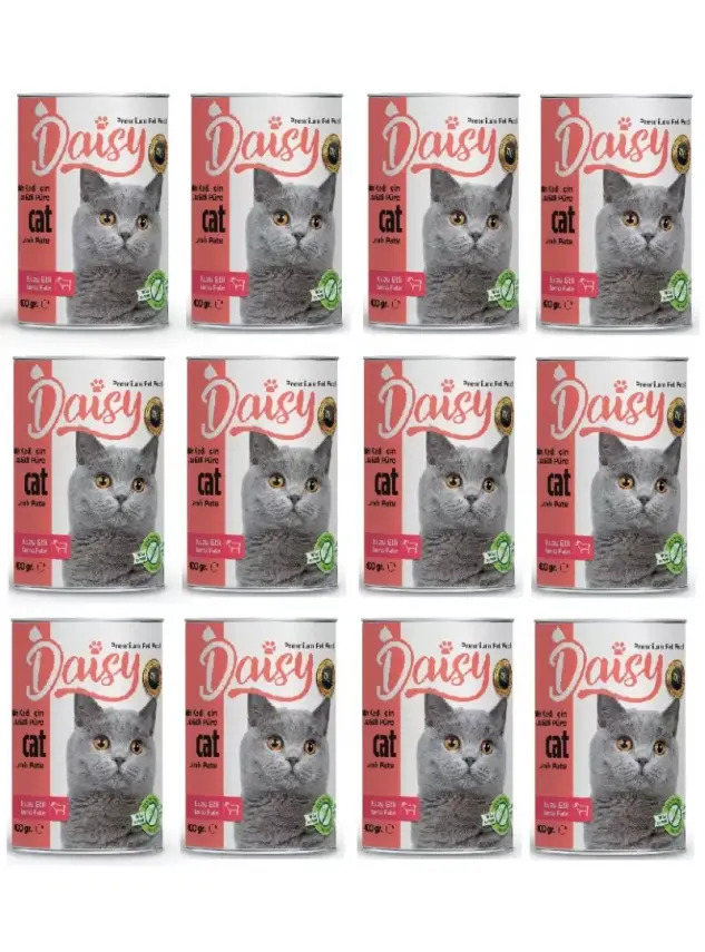 Daisy Kuzu Etli Yetişkin Tahılsız Kedi Maması Konservesi 24 Adet 400 gr - 1