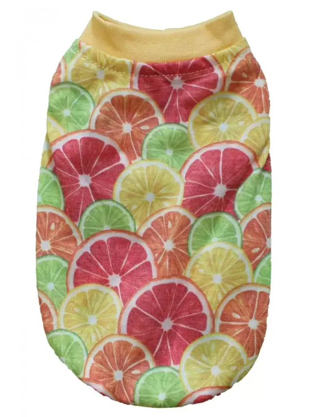 Daisy Limon Köpek Kıyafeti G-02 Set - 1