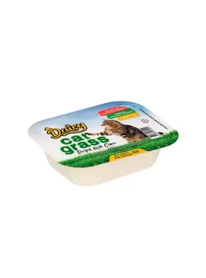 Daisy Natural Kedi Çimi File Hediyeli ! - Diğer Bakım Ürünleri
