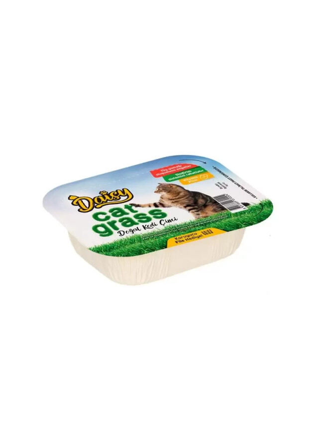 Daisy Natural Kedi Çimi File Hediyeli ! - Diğer Bakım Ürünleri