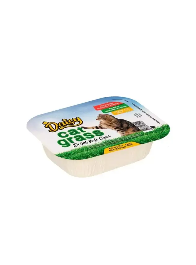 Daisy Natural Kedi Çimi File Hediyeli ! - 1
